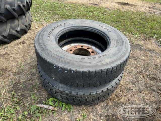 (2) 11R22.5 tires